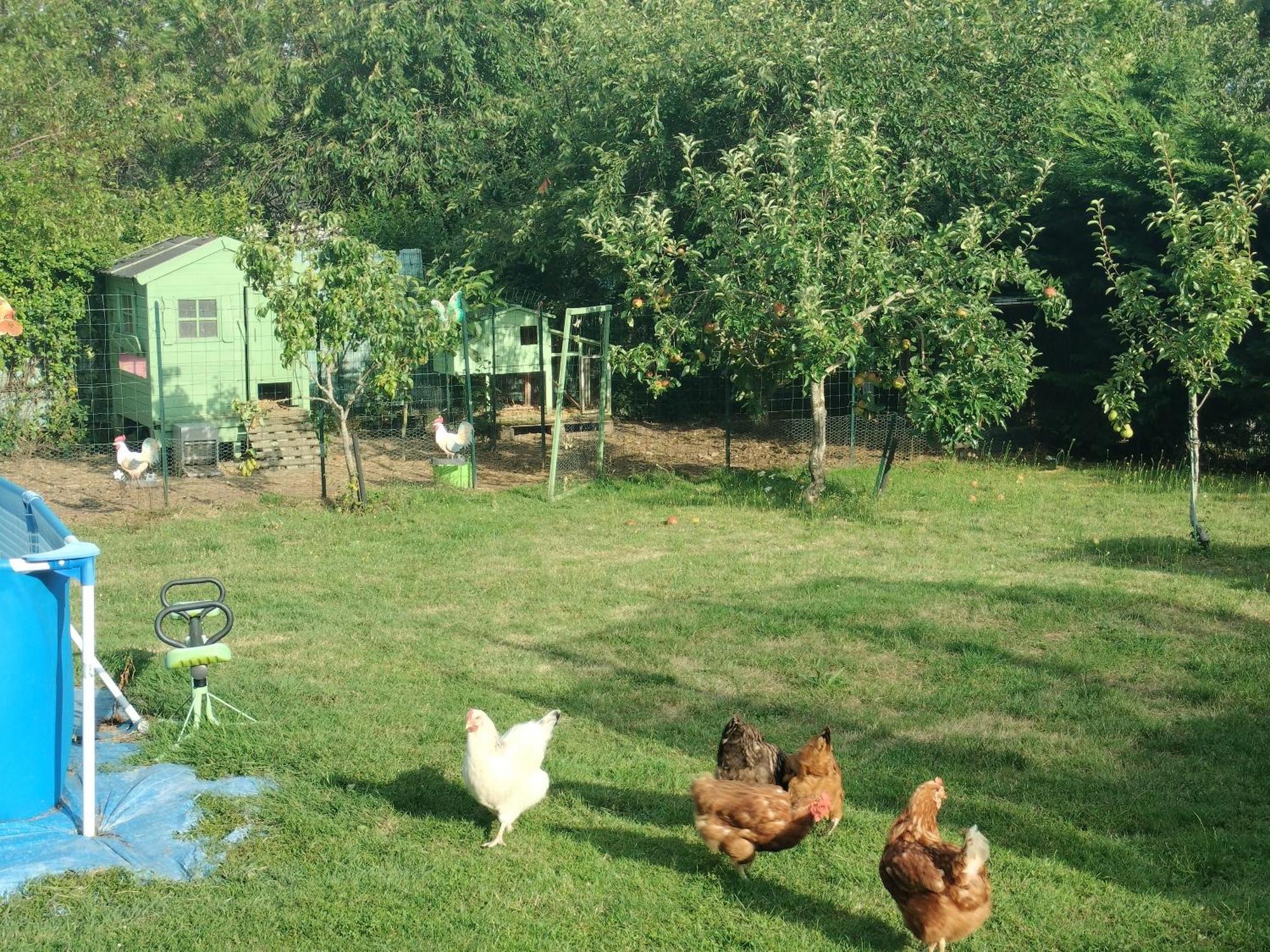 Un Studio Avec Une Entree Independante Thilouze Esterno foto
